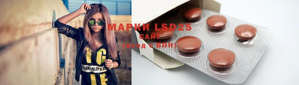 круглые Аркадак